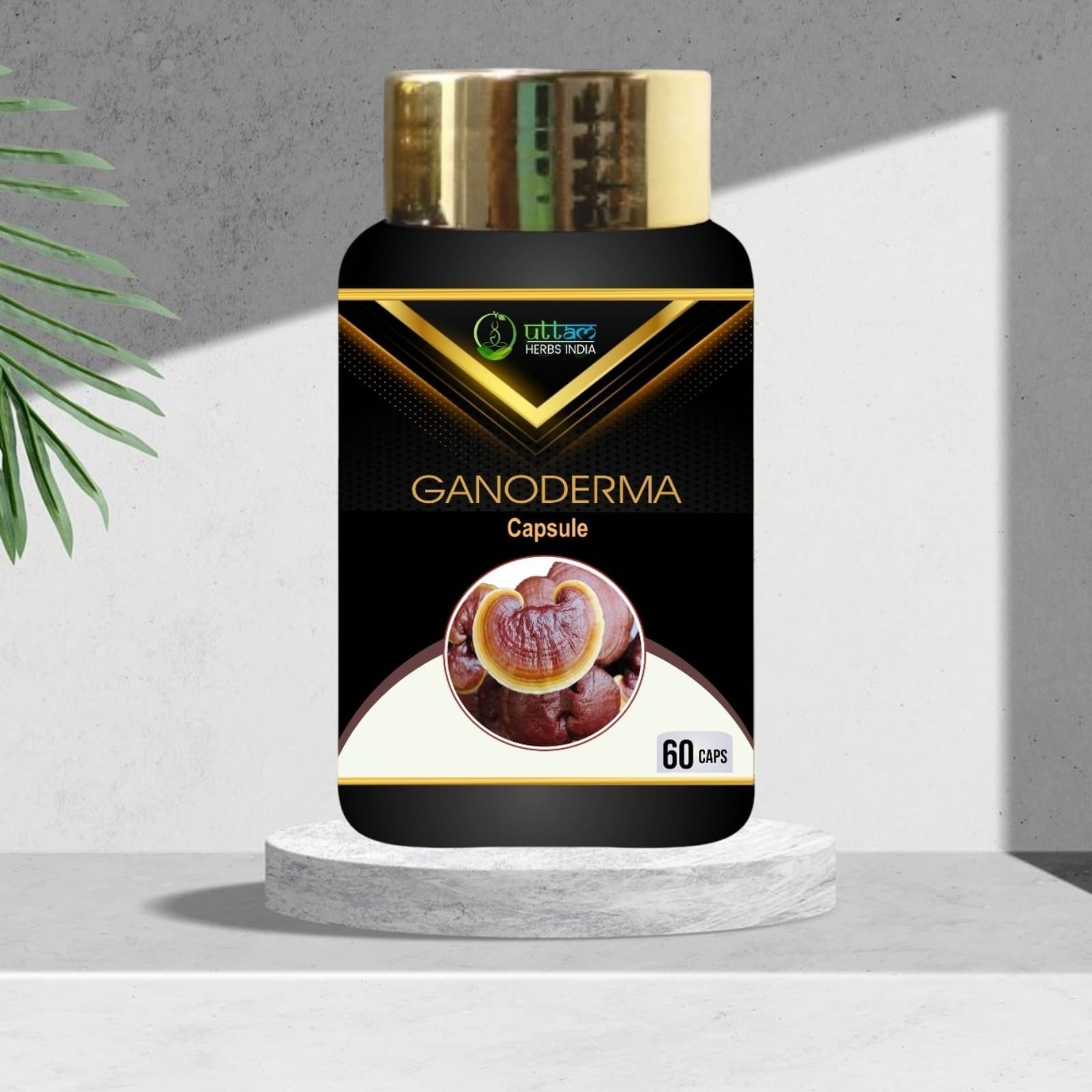 GANODARMA 60 CAPSULE